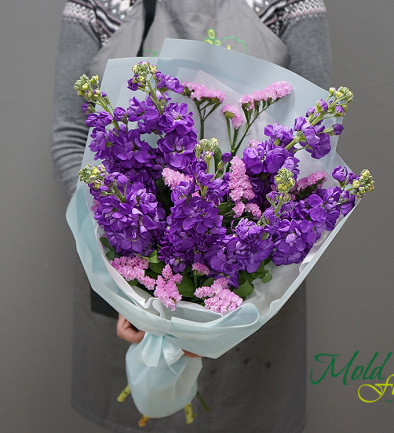 Bouquet of violet stock flowers photo 394x433
